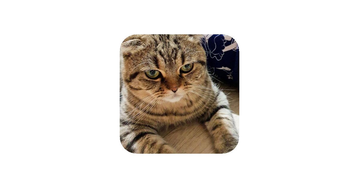 공유 카드