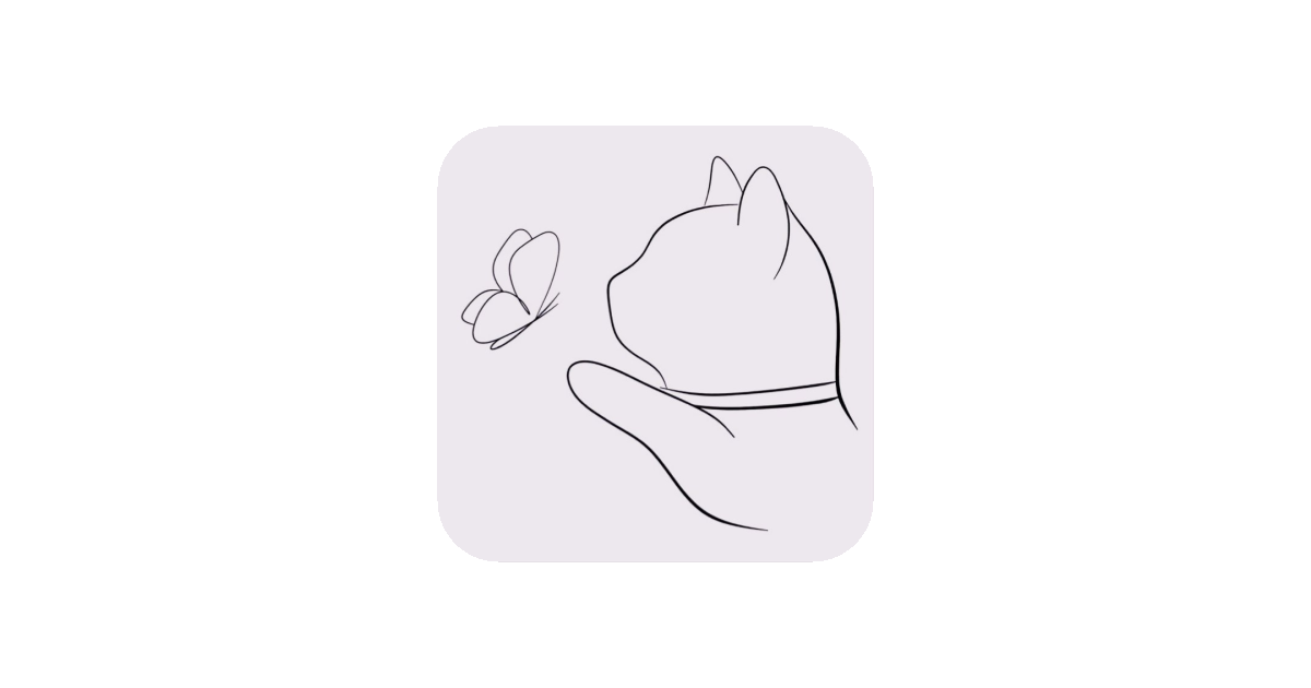 공유 카드