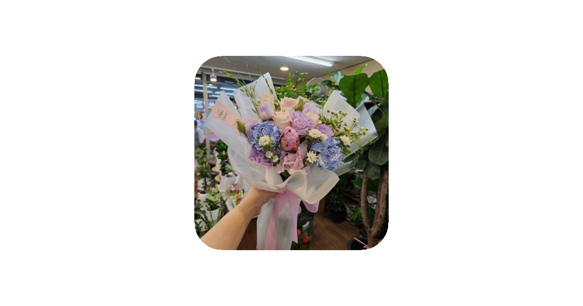 공유 카드