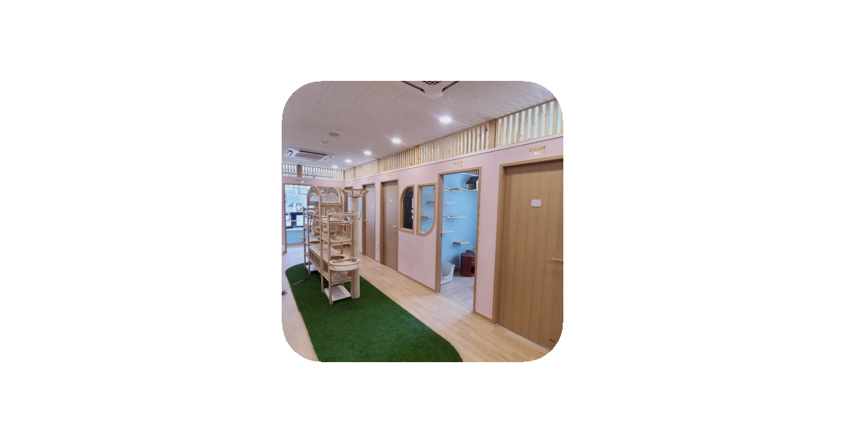 공유 카드