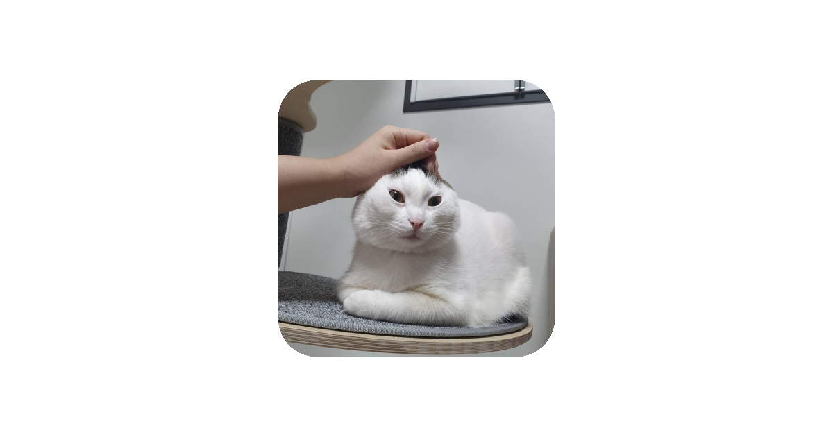 공유 카드