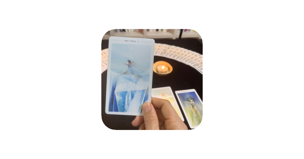 공유 카드