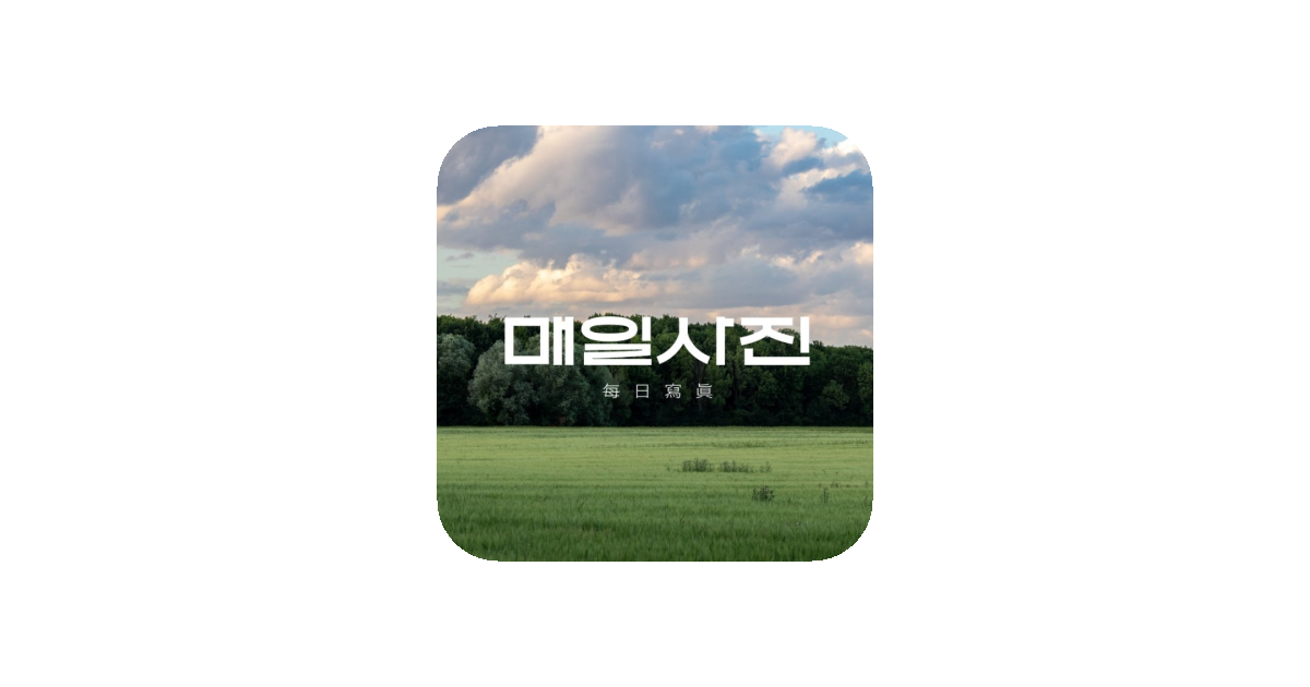 공유 카드
