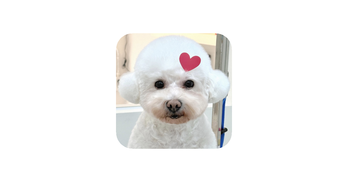 공유 카드