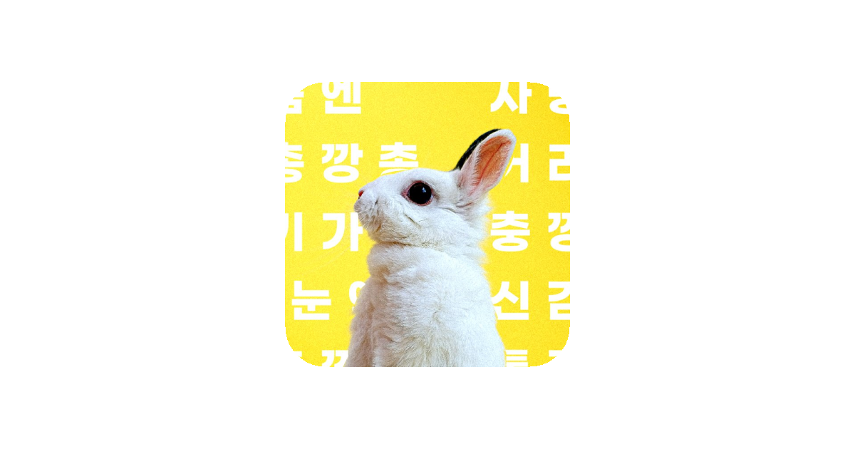공유 카드