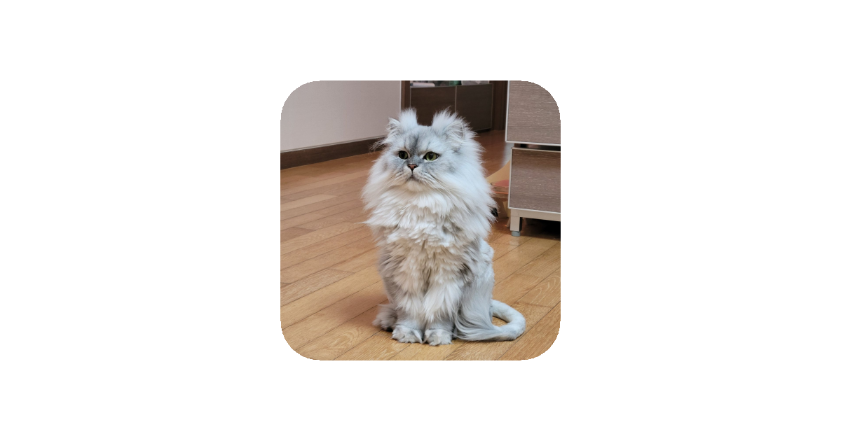 공유 카드