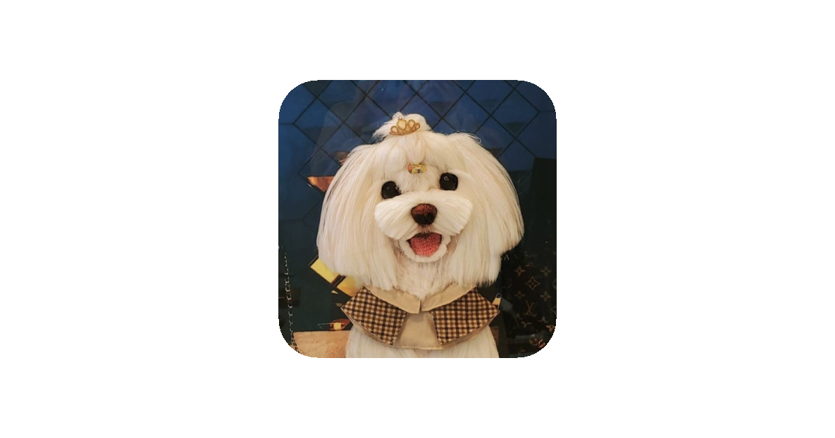 공유 카드
