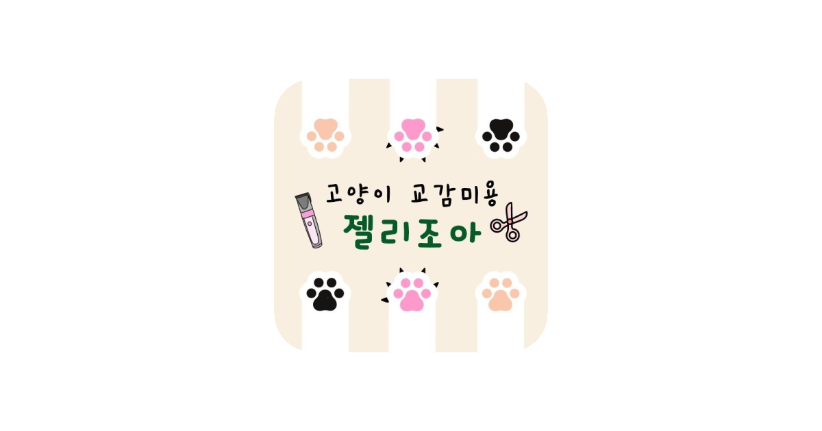 공유 카드