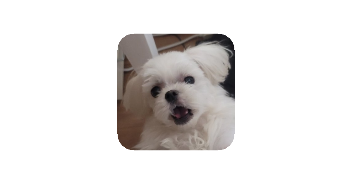 공유 카드