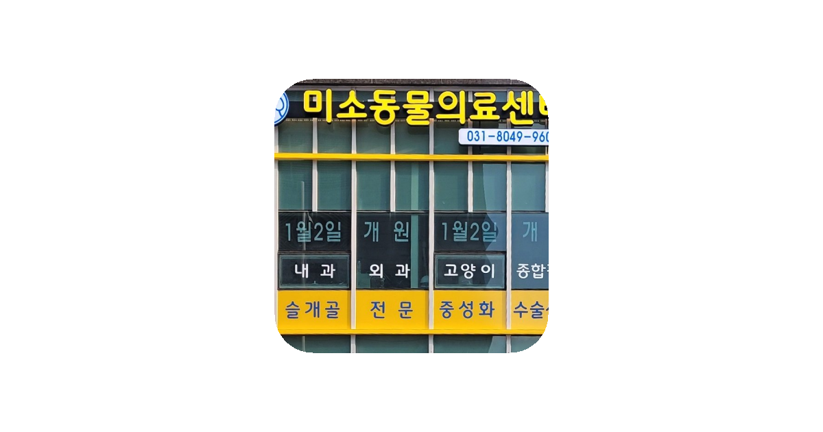 공유 카드