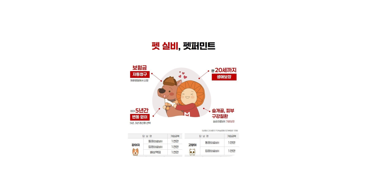 공유 카드