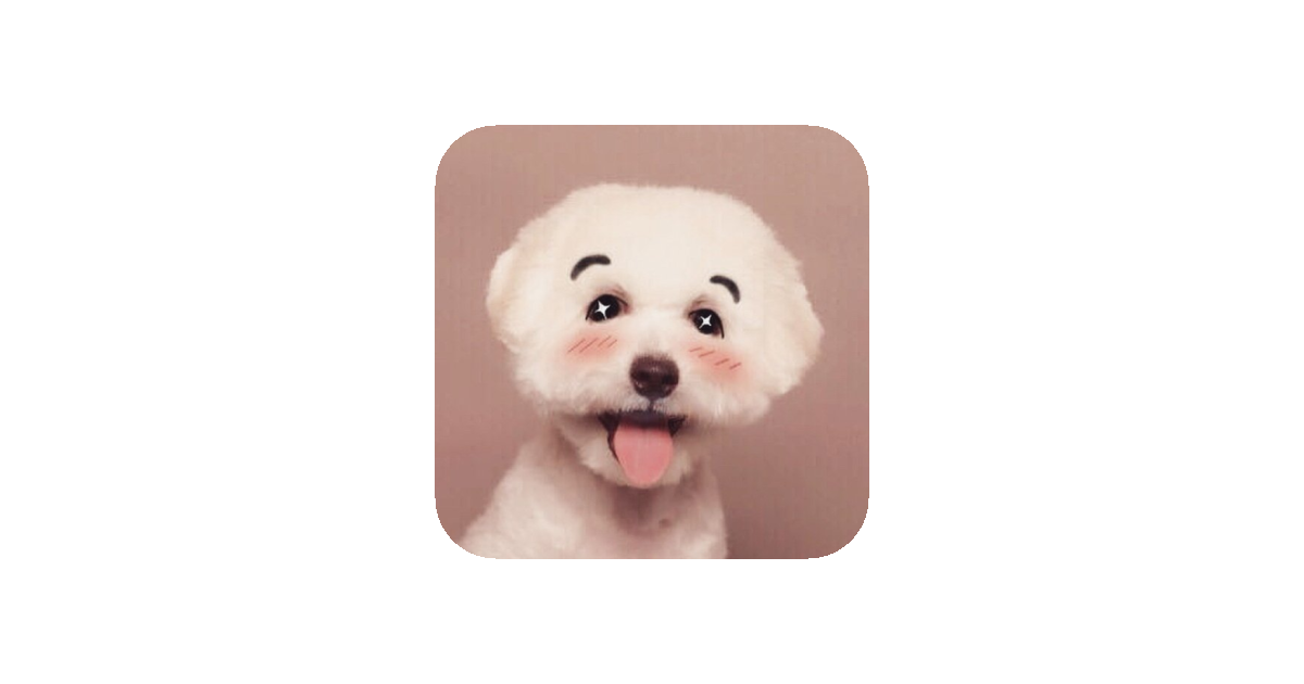 공유 카드