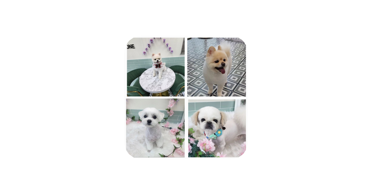 공유 카드