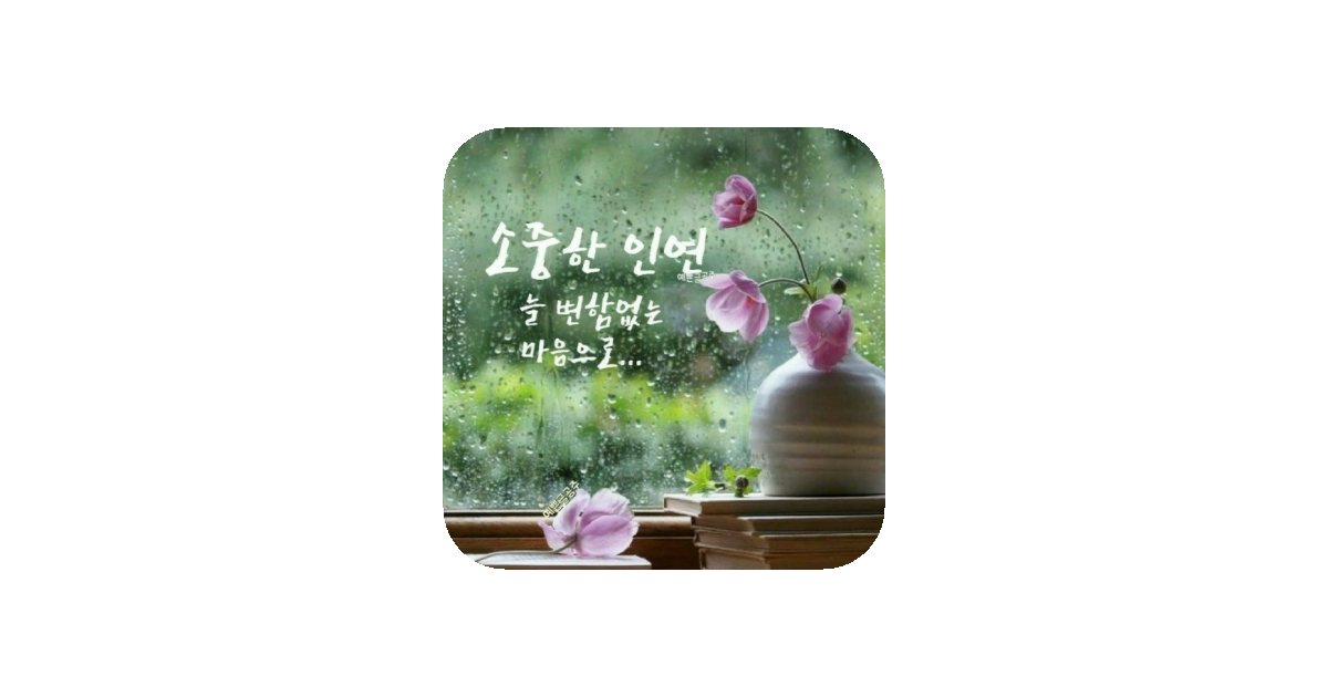 공유 카드