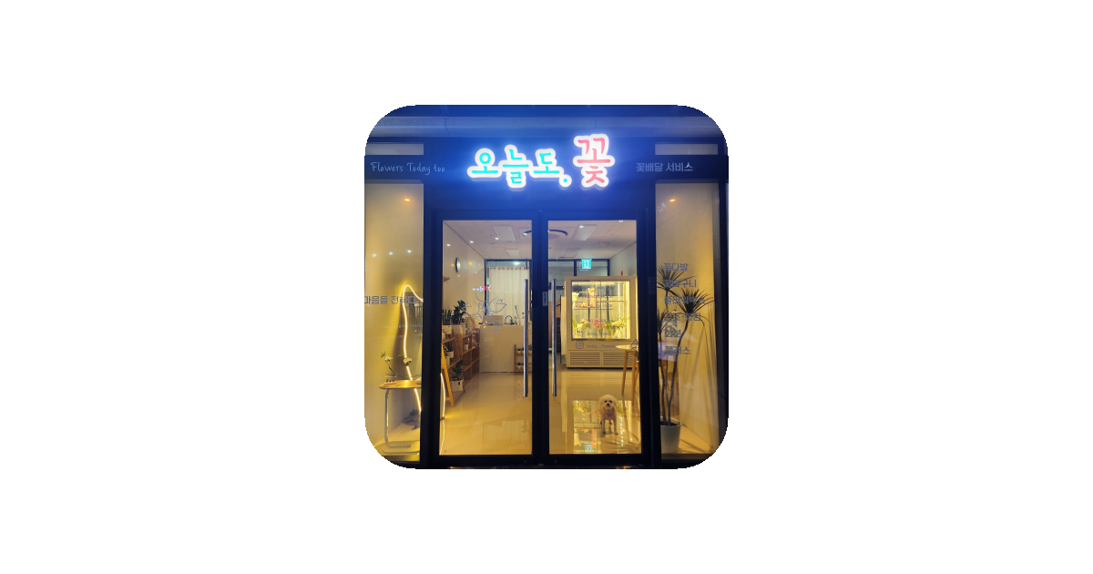 공유 카드