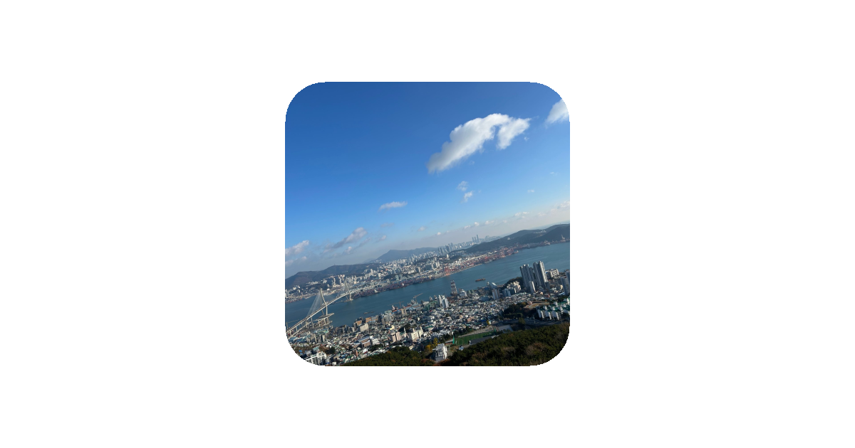공유 카드