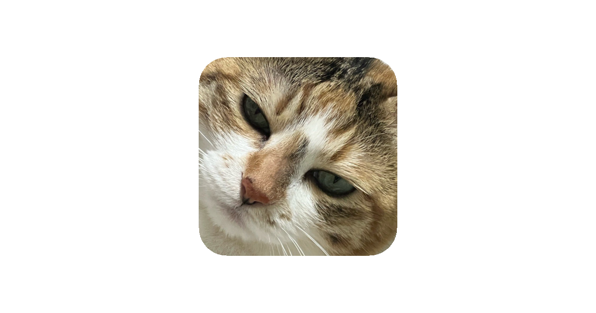 공유 카드