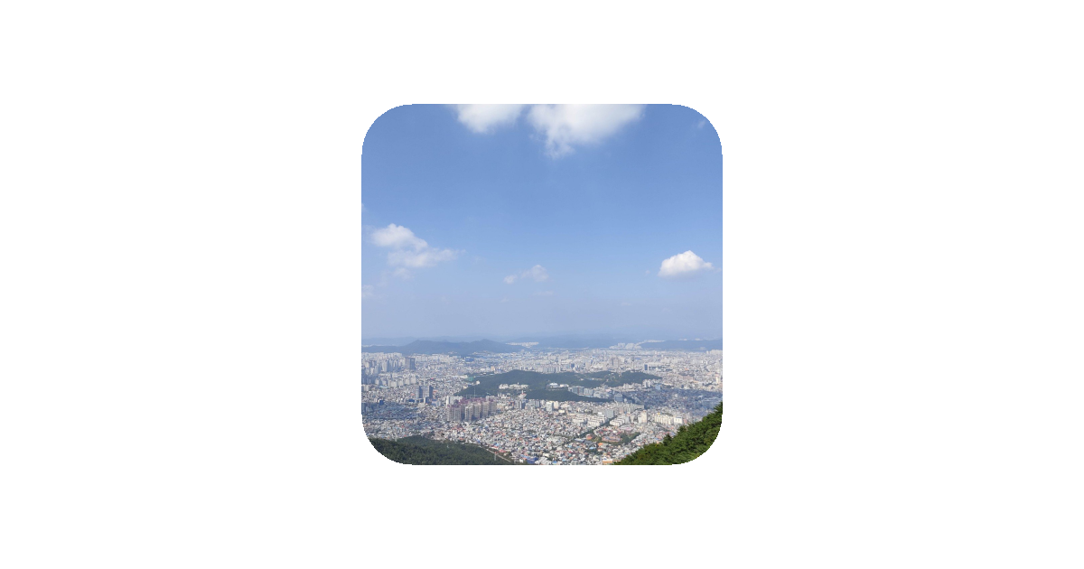 공유 카드