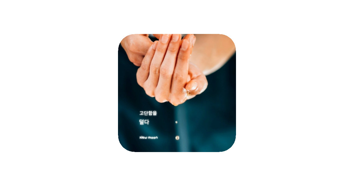 공유 카드