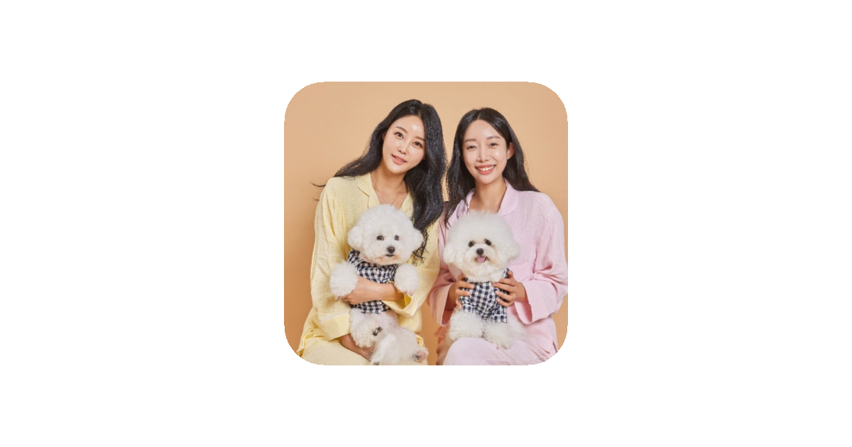 공유 카드