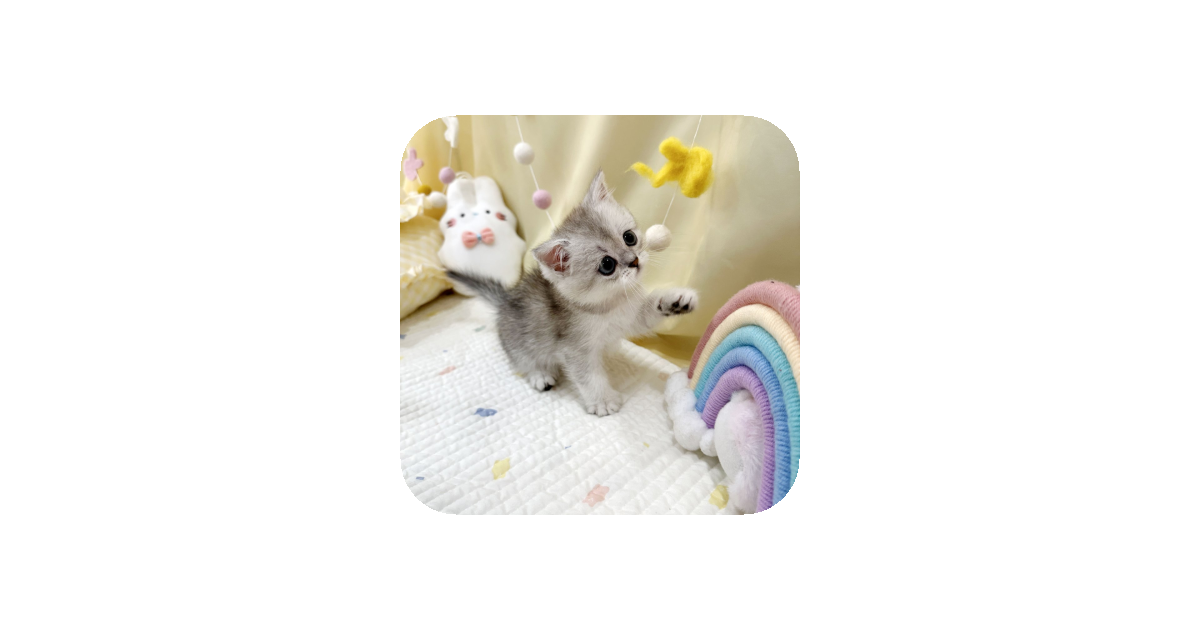 공유 카드