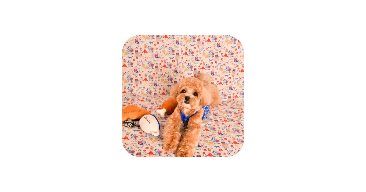공유 카드