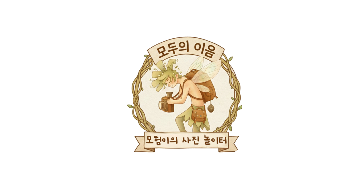 공유 카드