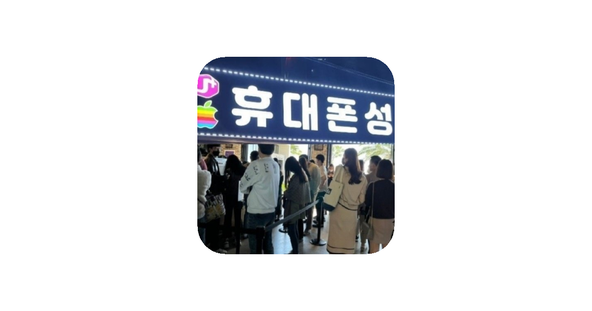 공유 카드