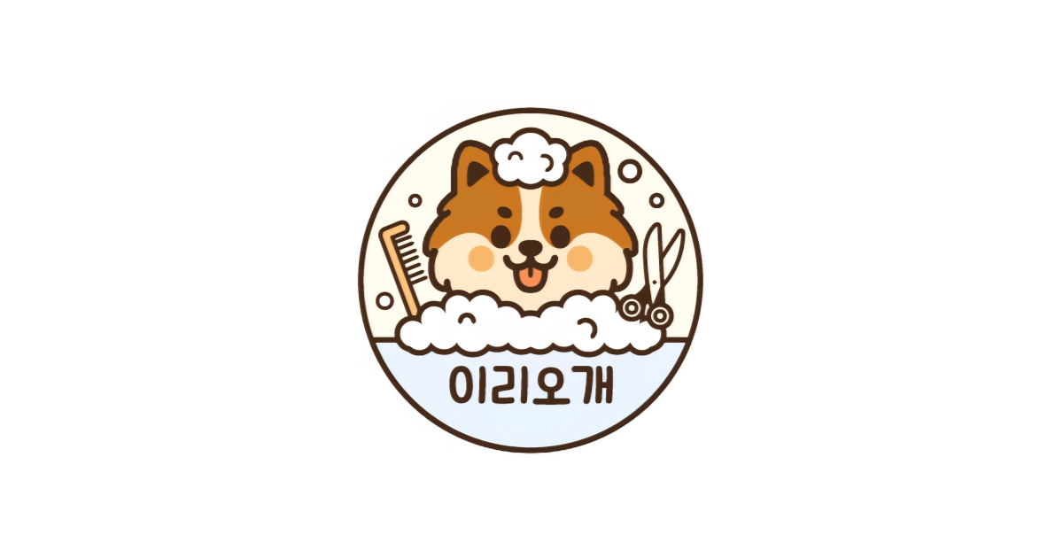 공유 카드