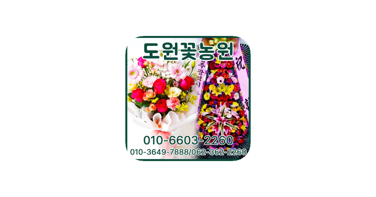 공유 카드