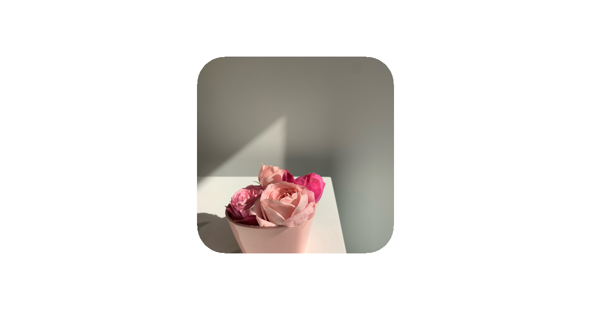 공유 카드