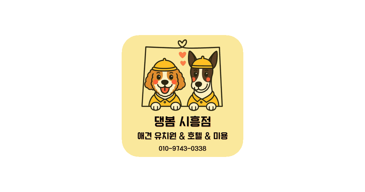 공유 카드
