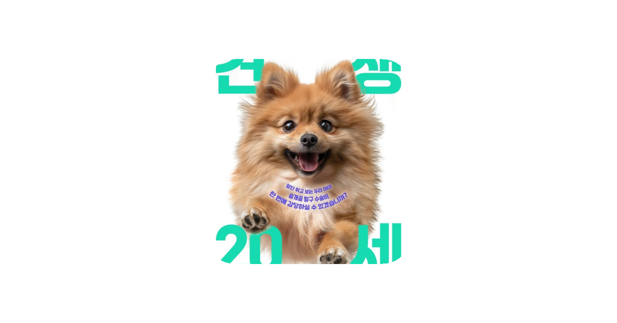 공유 카드