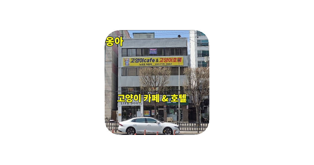 공유 카드