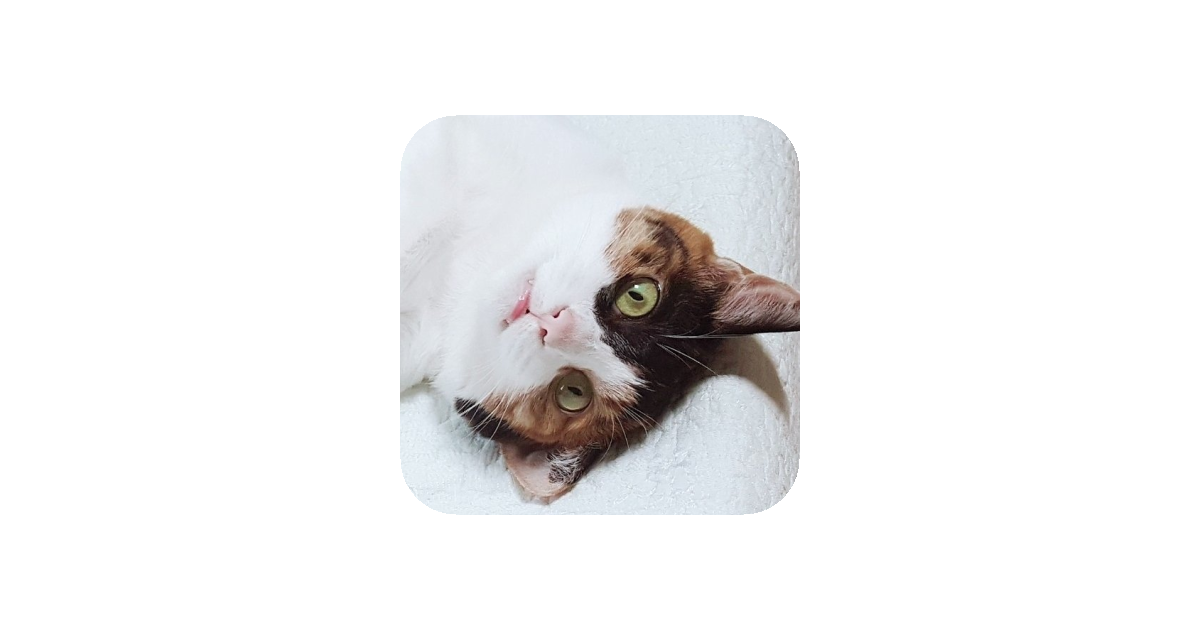 공유 카드