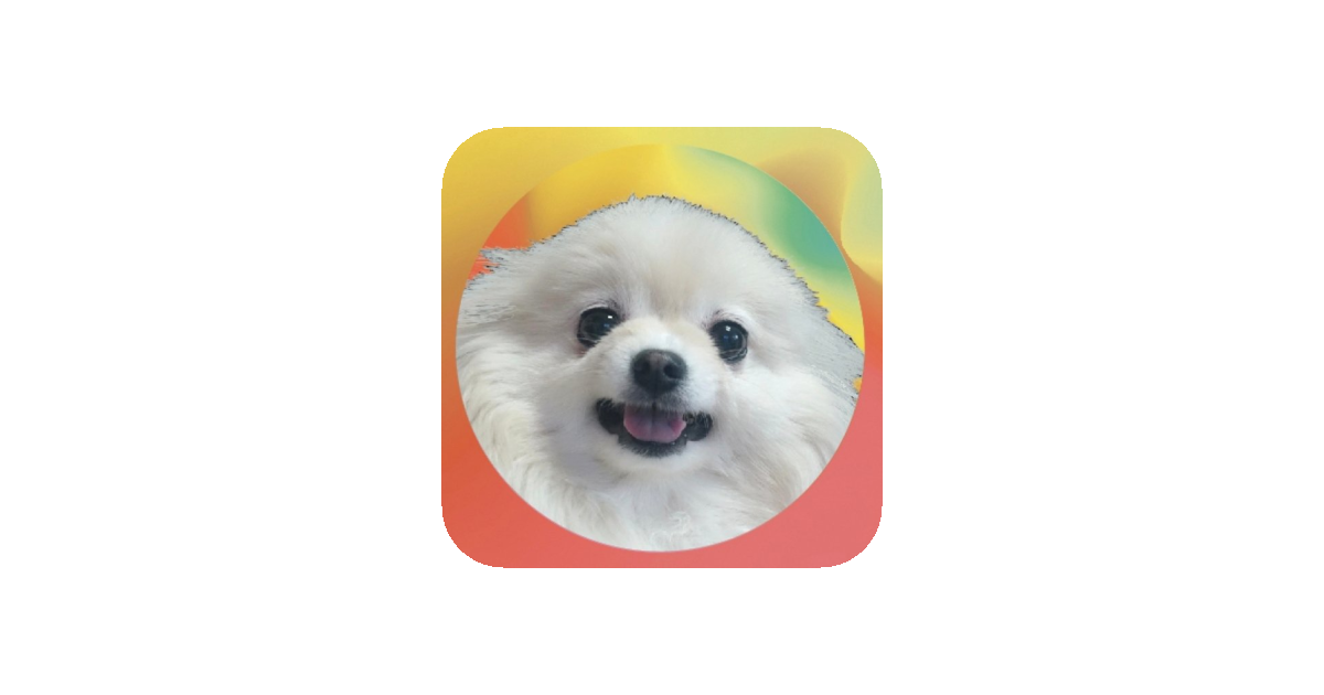 공유 카드