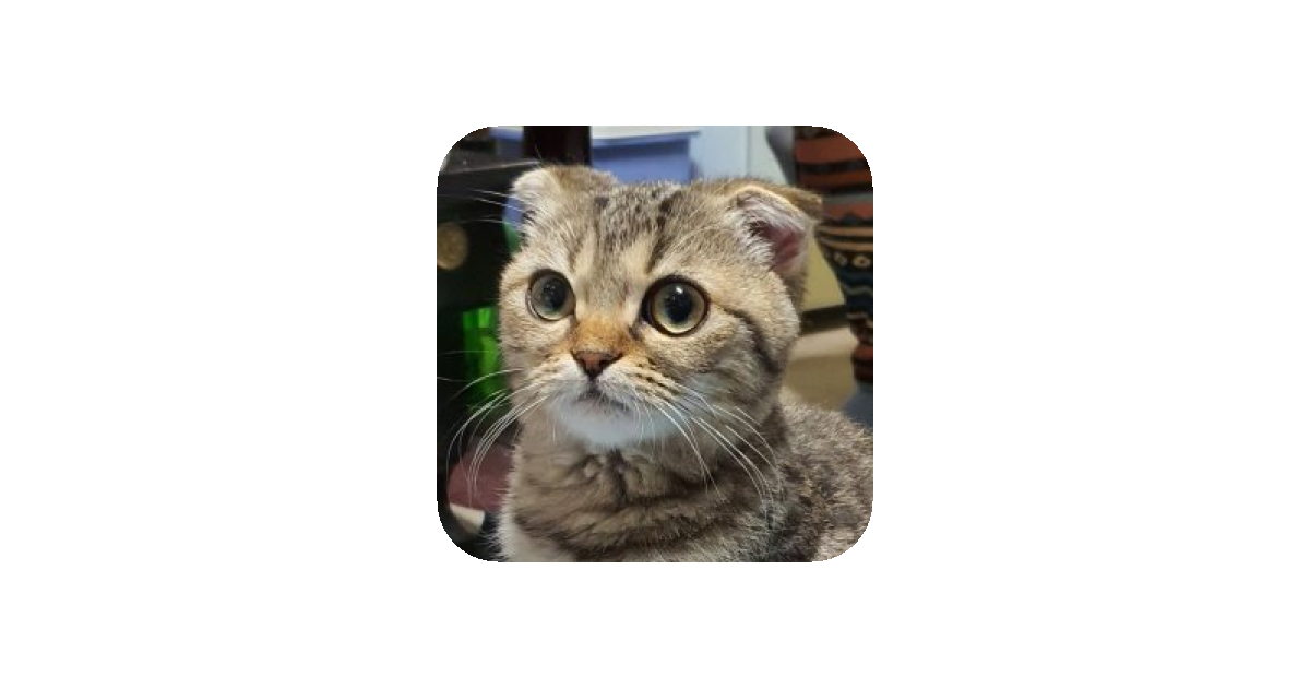 공유 카드