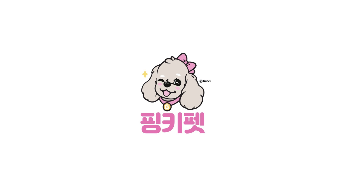 공유 카드
