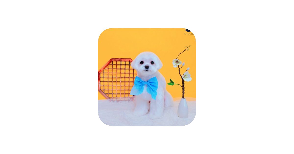 공유 카드