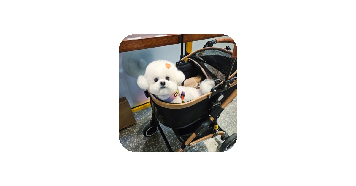 공유 카드
