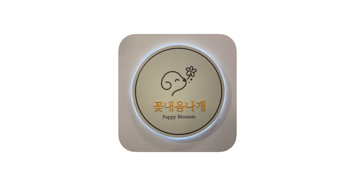 공유 카드