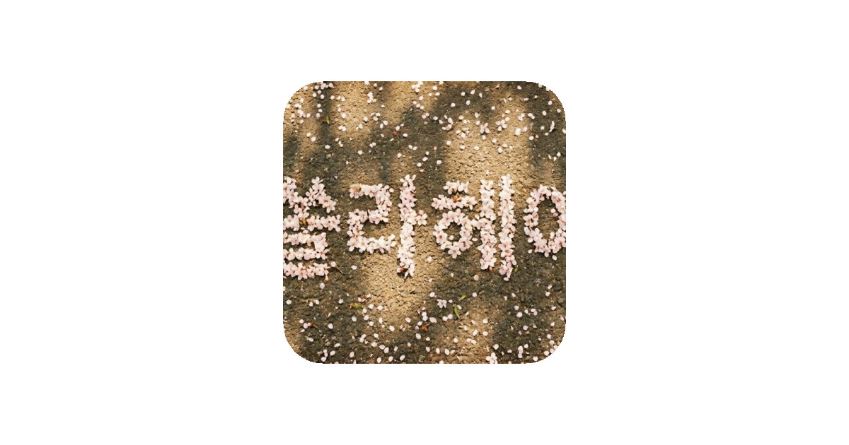 공유 카드