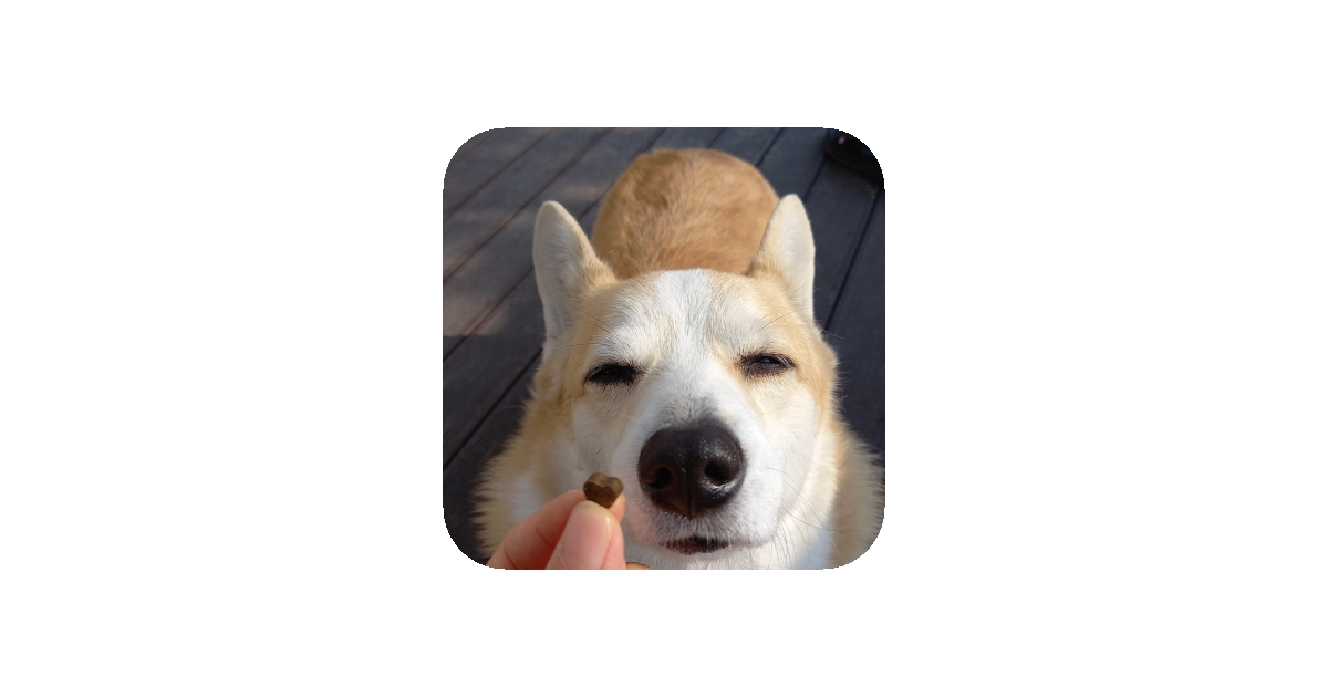 공유 카드