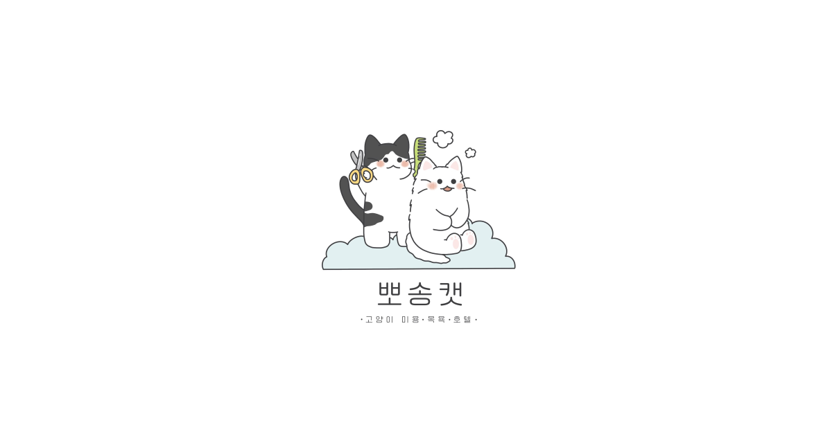 공유 카드