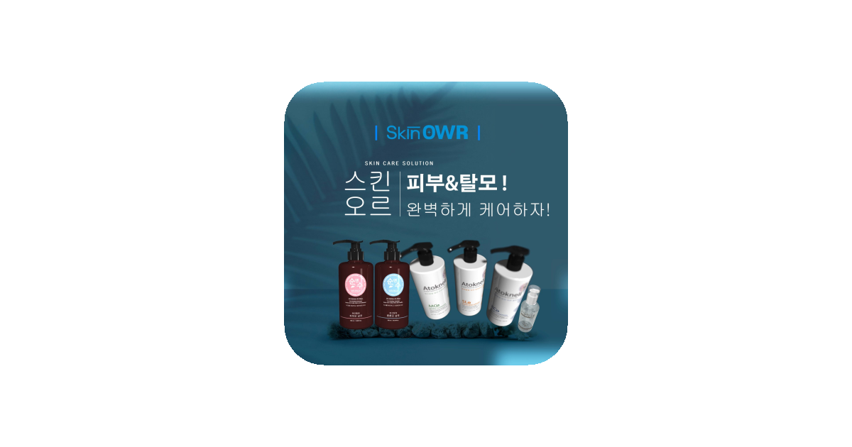 공유 카드