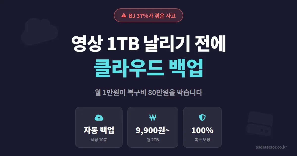 방송 클라우드 저장소 활용법, 1TB 영상 날린 BJ 2명이 선택한 백업 전략