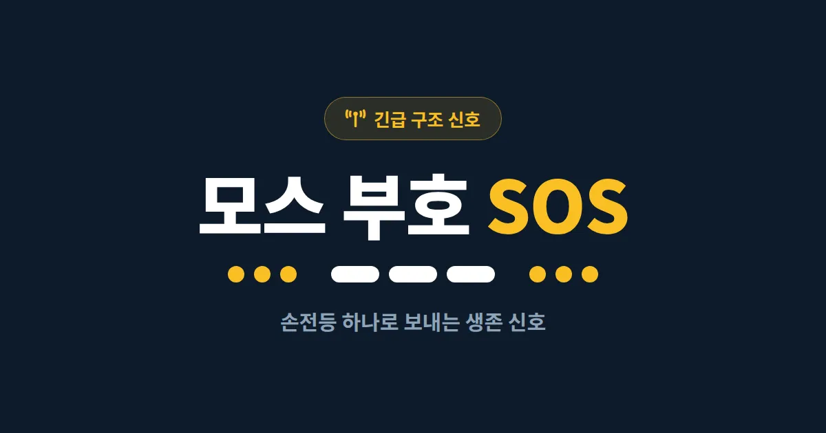 모스 부호 SOS 신호 보내는 법 - 손전등, 호루라기, 스마트폰으로 구조 요청하는 방법 총정리