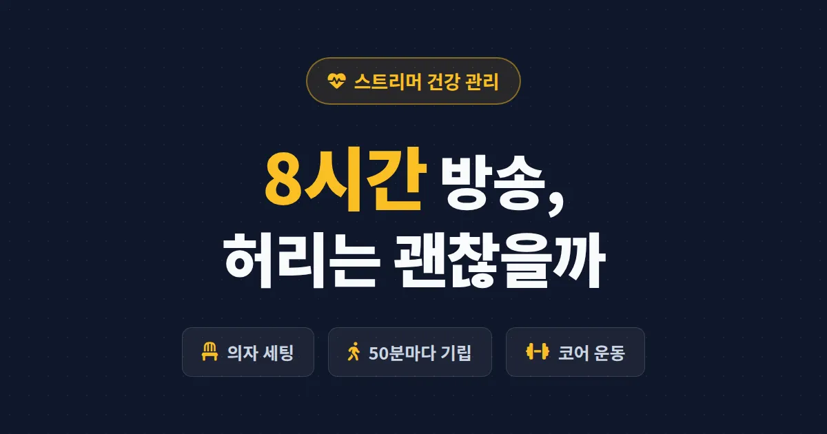 스트리머 허리 건강 관리 방법 - 장시간 방송에도 통증 없이 버티는 자세와 운동 루틴