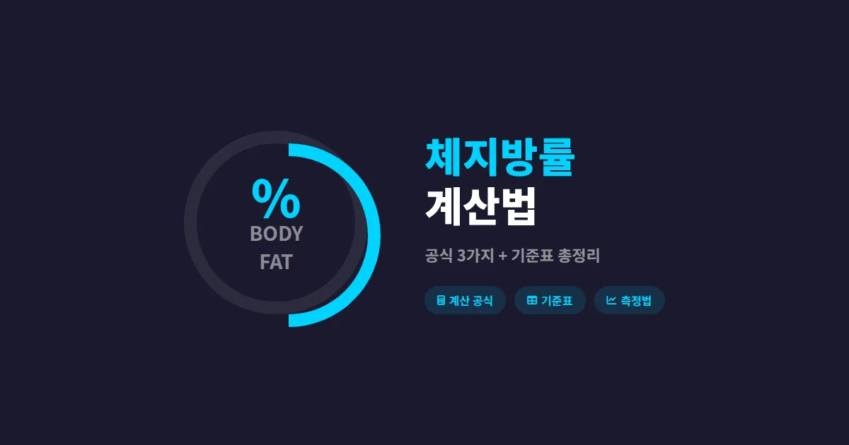 체지방률 계산 방법 완벽 가이드 - BMI보다 정확한 측정 공식과 기준표 총정리