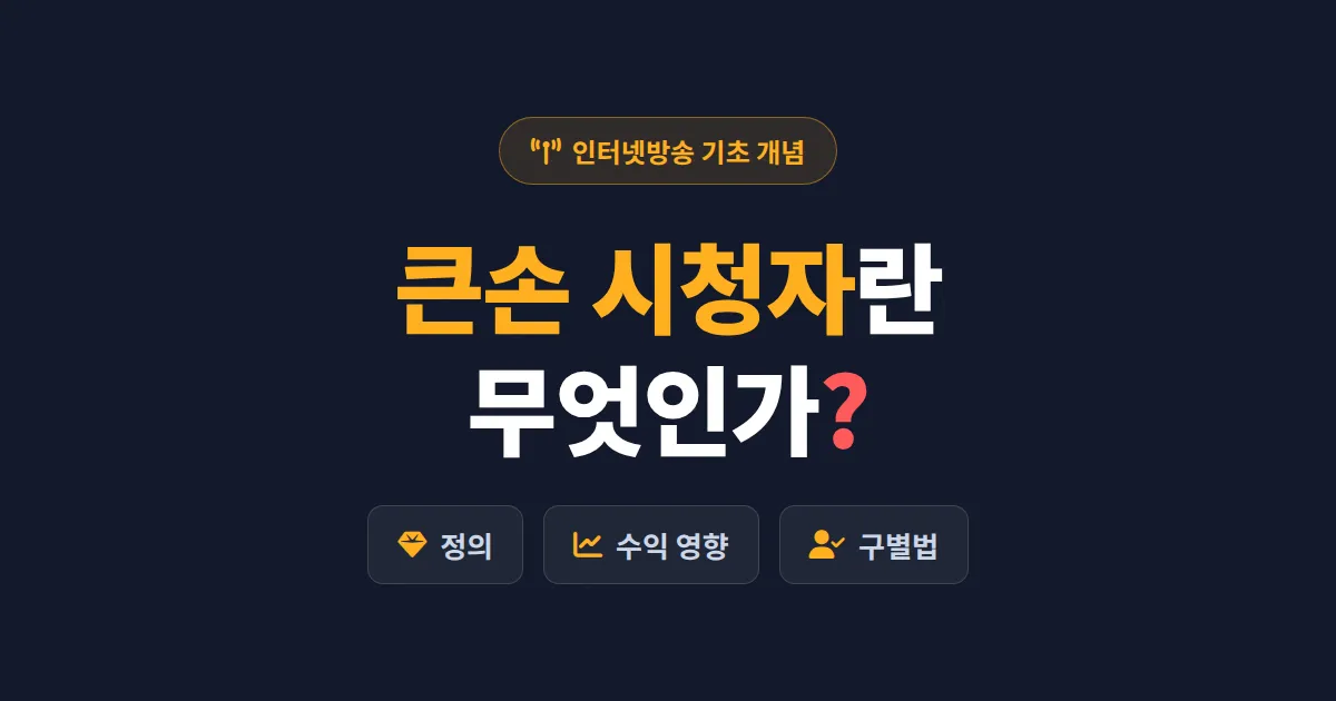 큰손 시청자란 무엇인가 - 방송 수익을 움직이는 핵심 시청자의 정의와 특징 완벽 정리
